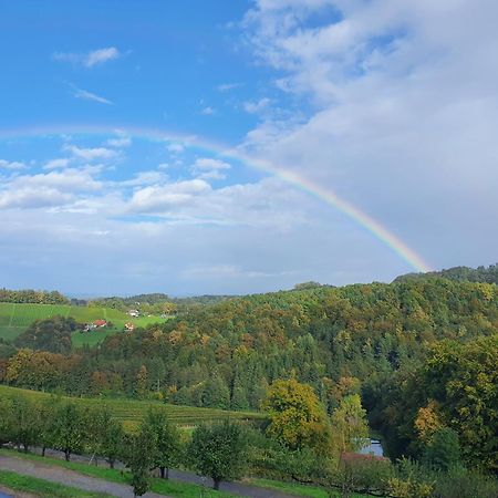 Weingut Pugl Apartment Leibnitz Bagian luar foto