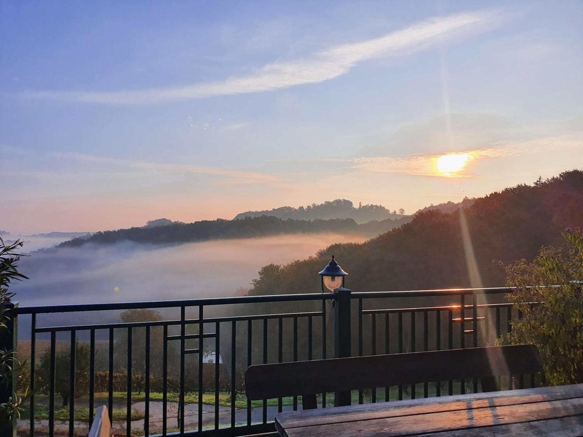Weingut Pugl Apartment Leibnitz Bagian luar foto