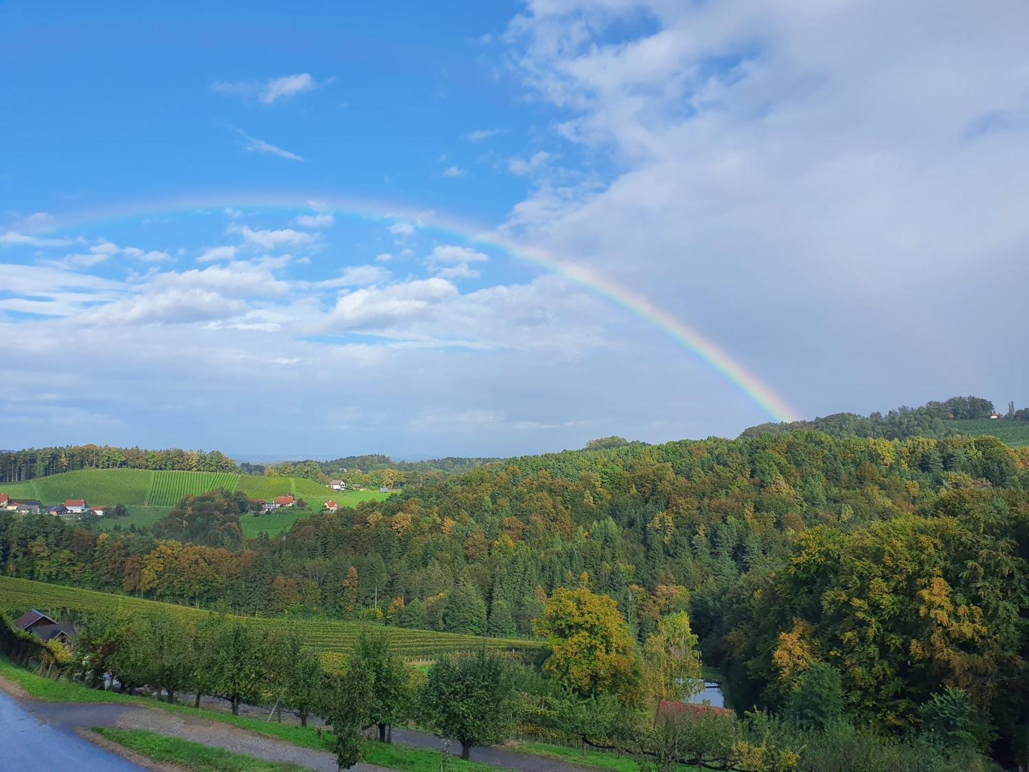 Weingut Pugl Apartment Leibnitz Bagian luar foto