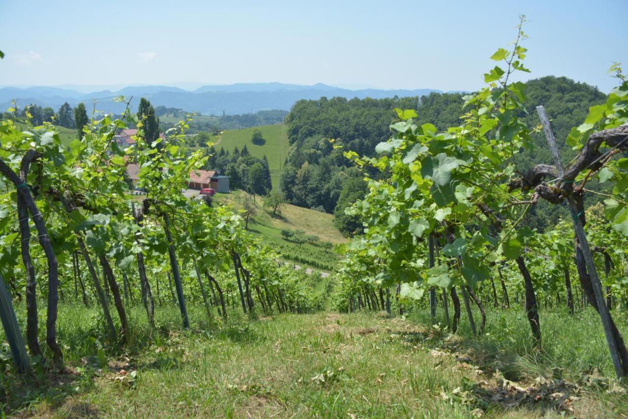 Weingut Pugl Apartment Leibnitz Bagian luar foto